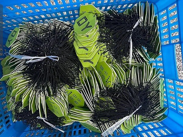 Bundled Paper Scented Cards With Hanging Strings In Basket - FEILIZTECH Finished Air Fresheners
