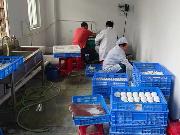 Workers Polishing & Finishing Molded Diatomite Aroma Products